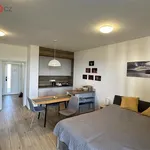 Pronajměte si 1 ložnic/e byt o rozloze 39 m² v Frymburk