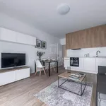 Rent 1 bedroom apartment of 59 m² in Capital City of Prague