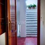 Rent 1 bedroom apartment of 25 m² in Forio