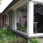 Zittard, Veldhoven - Amsterdam Apartments for Rent