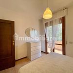 Rent 3 bedroom apartment of 65 m² in Pisa