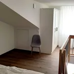 Miete 3 Schlafzimmer wohnung von 46 m² in Neckarwestheim