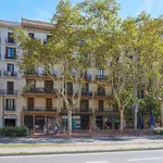 Rent 1 bedroom apartment in Barcelona