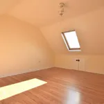 Rent 4 bedroom house in North East England