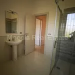 Rent 2 bedroom apartment of 50 m² in San Nicola La Strada