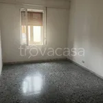 Rent 3 bedroom apartment of 100 m² in Avellino