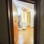 Rent 1 bedroom apartment of 28 m² in Grottaferrata