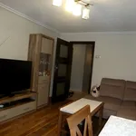 Rent 2 bedroom apartment of 50 m² in Sosnowiec