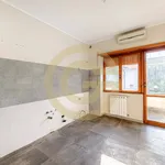 Rent 6 bedroom apartment of 312 m² in Cerveteri