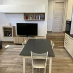 Rent 2 bedroom apartment of 50 m² in Rome