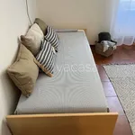 Rent 1 bedroom apartment of 45 m² in Genova