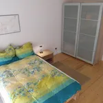 Rent 2 bedroom apartment of 40 m² in Bonn