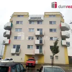 Rent 1 bedroom apartment in Uherské Hradiště