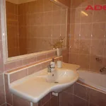 Rent 2 bedroom apartment of 305 m² in Capital City of Prague