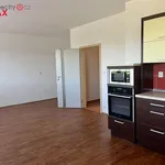 Rent 1 bedroom apartment of 40 m² in Jihlava