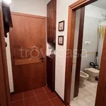 Rent 2 bedroom apartment of 47 m² in Ponte di Legno