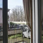 3-room flat via Maria Luigia, 17, Centro, Colorno