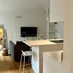 Rent 2 bedroom apartment of 55 m² in Torino