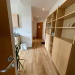 Rent 2 bedroom apartment of 37 m² in Dresden