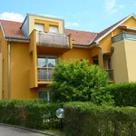 Rent 2 bedroom apartment of 49 m² in COLMAR