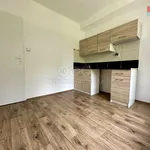 Rent 1 bedroom apartment in Ostrava