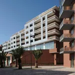 Rent 3 bedroom apartment of 87 m² in Pescara