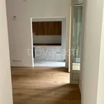 Rent 3 bedroom apartment of 97 m² in Torino