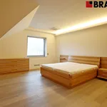 Pronajměte si 3 ložnic/e byt o rozloze 195 m² v Brno