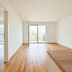 Miete 2 Schlafzimmer wohnung von 43 m² in Vienna