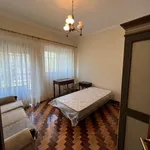 Rent 5 bedroom apartment in Coimbra