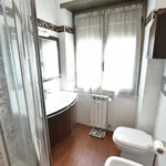 Rent 3 bedroom apartment of 80 m² in Rome