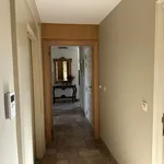 Rent 1 bedroom apartment in Zele