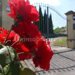 Single family villa via d'Ormicello, Pozzale - Case Nuove, Empoli