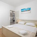 Rent 3 bedroom apartment of 64 m² in Grad Rijeka