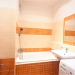 Rent 1 bedroom apartment of 30 m² in Prague