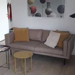 Miete 1 Schlafzimmer wohnung von 45 m² in berlin