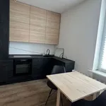 Rent 2 bedroom apartment of 30 m² in Gliwice