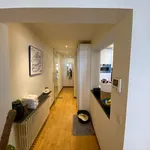 Rent 1 bedroom apartment in Gent