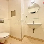 Rent 1 bedroom apartment of 32 m² in Praha