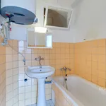 Rent 1 bedroom apartment in Praha 3