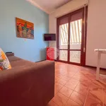 Affitto 2 camera appartamento di 28 m² in Misano Adriatico