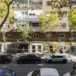 Rent a room of 120 m² in madrid