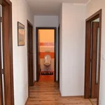 Rent 2 bedroom apartment of 85 m² in Brno