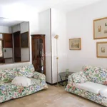 Rent 4 bedroom apartment of 100 m² in Pavia