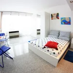 Rent 5 bedroom apartment in Milan