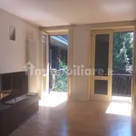 Rent 3 bedroom apartment of 120 m² in Piacenza