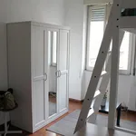 Rent 1 bedroom apartment in Rome