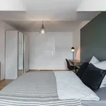 Rent 3 bedroom student apartment of 15 m² in München