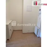 Rent 1 bedroom apartment of 36 m² in Prague