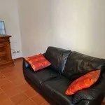 Rent 1 bedroom apartment of 90 m² in Lucca